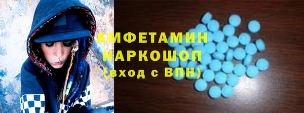 стаф Алзамай