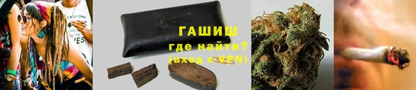стаф Алзамай