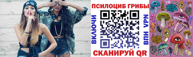 Галлюциногенные грибы прущие грибы  мориарти как зайти  Грозный 